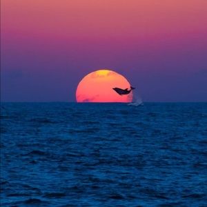 Meet your Posher, Karyl