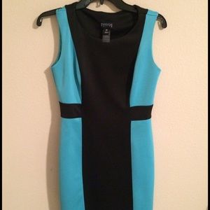 Enfocus Petite dress