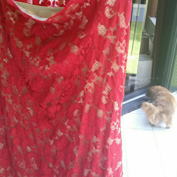 Red Robert duckey dress - Picture 2 of 4