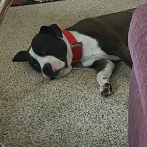 Meet your Posher, Deanna