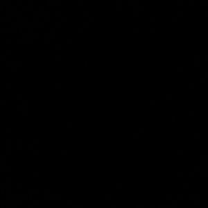 Meet your Posher, Blanca