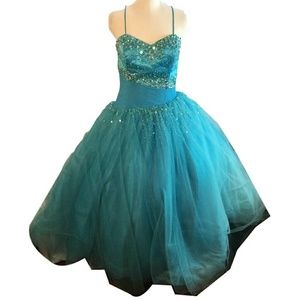 Elsa Blue Fairy Formal Custom Ball Gown Tulle Bead