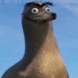 Meet your Posher, Harrold