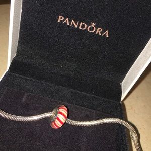 Pandora Murano Charm