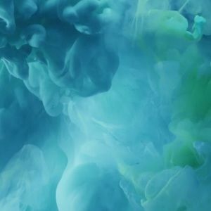 Meet your Posher, Isabel