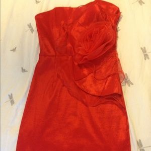 Rose Red dress