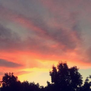 Meet your Posher, Maddie