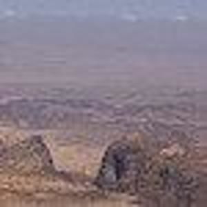 Meet your Posher, Sue