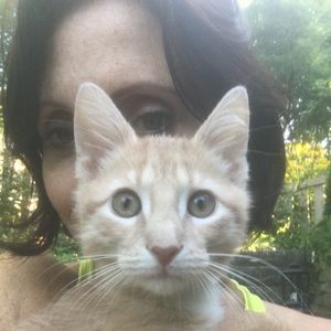 Meet your Posher, Mp