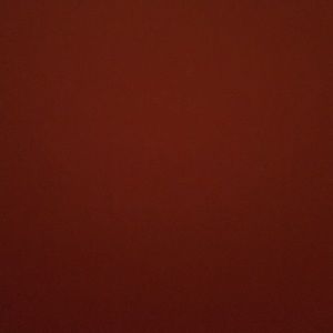 Meet your Posher, Len