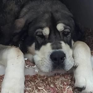 Meet your Posher, Kendall