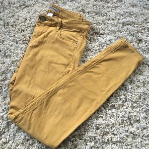 Express Pants