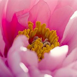 Meet your Posher, Esther