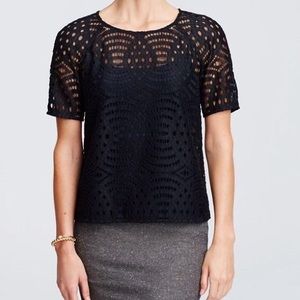 🍂NWT Ann Taylor Sheer Lace Tee🍂