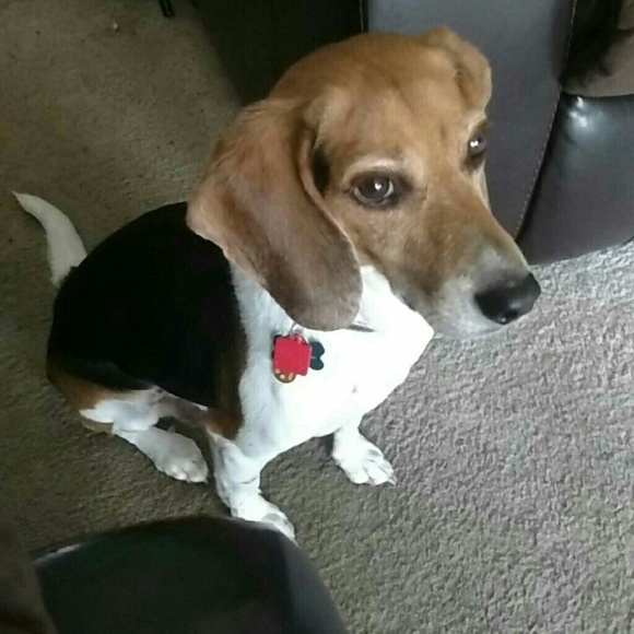 Welcome to my closet! - Picture 2 of 4