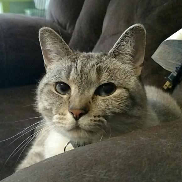 Welcome to my closet! - Picture 4 of 4