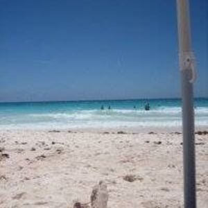 Meet your Posher, Leif