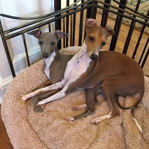 Meet your Posher, Nathalie