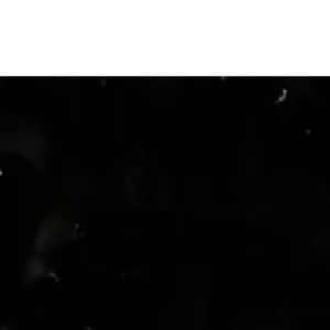 Meet your Posher, Nayeli