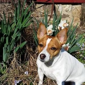 Meet your Posher, Brenda