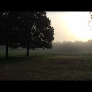 Meet your Posher, Mindy