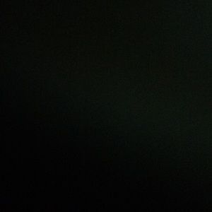 Meet your Posher, Coco