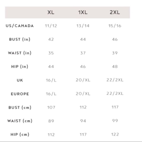 Plus Size! Lace Extender Tank - Picture 3 of 3