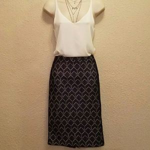 The Limited Navy Blue Pencil Skirt with Zipper
