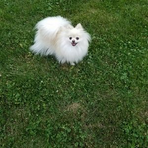 Meet your Posher, Nicole