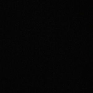 Meet your Posher, Abbie