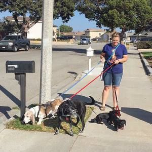 Meet your Posher, Erica