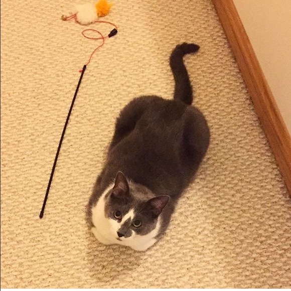 Meet your Posher, Sadaf