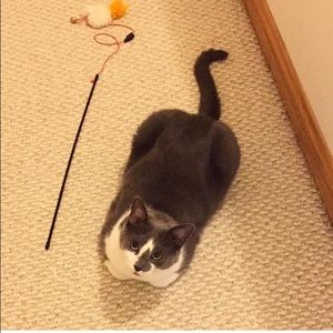 Meet your Posher, Sadaf