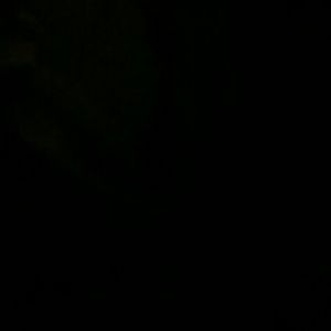 Meet your Posher, Layden