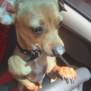 Meet your Posher, Savannah