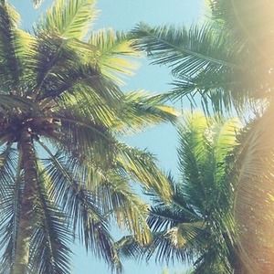 Meet your Posher, Enid