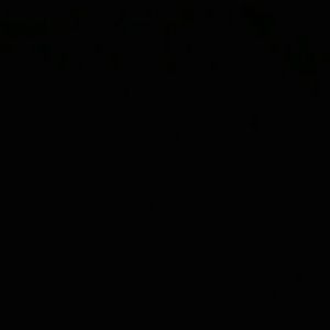 Meet your Posher, Ariana