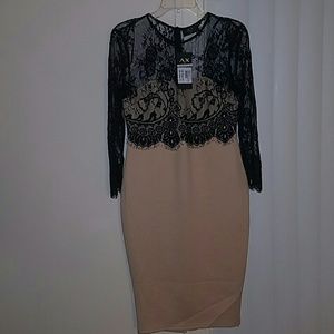 AX Paris Nude/Black lace dress