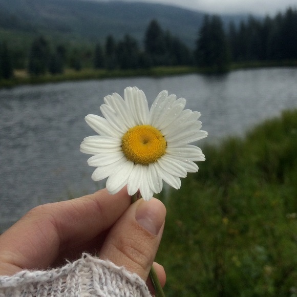 Meet your Posher, Jane