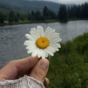 Meet your Posher, Jane