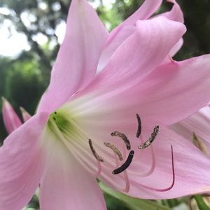 Meet your Posher, Valeria