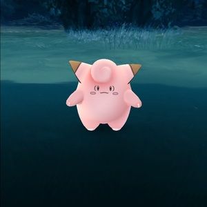 Meet your Posher, Shahd