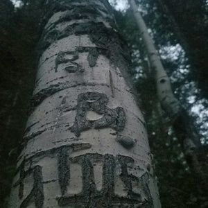 Meet your Posher, Ashleigh m