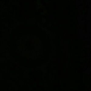 Meet your Posher, Freddy