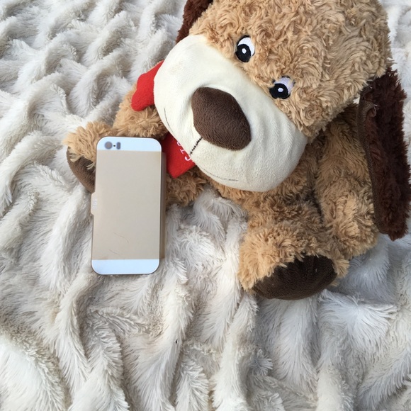 iphone 5/5s case