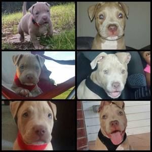 Meet your Posher, Angie