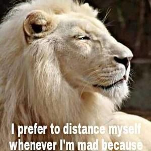 Meet your Posher, Rochelle