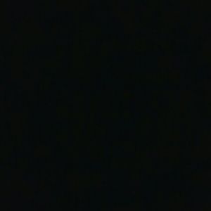 Meet your Posher, Fred