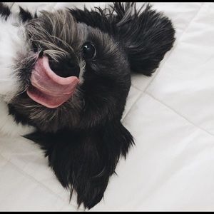 Meet your Posher, Richard