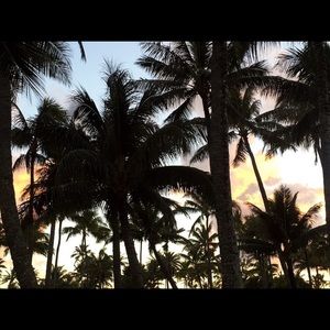 Meet your Posher, Kaley